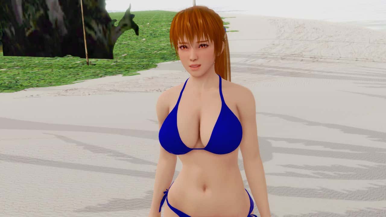 维纳斯岛上的生活 Life on the Venus Island 版封面